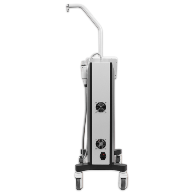 Vertical Fractional RF Microneedle Beauty Machine For Stretch Marks And Wrinkle Removal