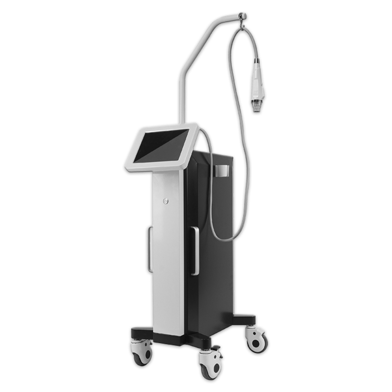 Vertical Fractional RF Microneedle Beauty Machine For Stretch Marks And Wrinkle Removal