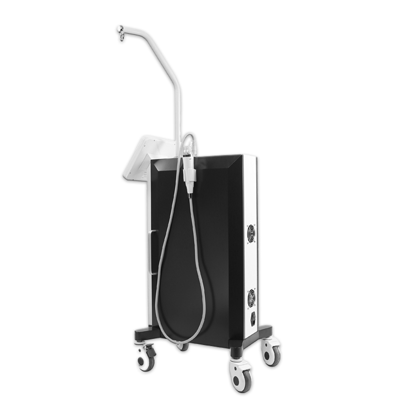 Vertical Fractional RF Microneedle Beauty Machine For Stretch Marks And Wrinkle Removal