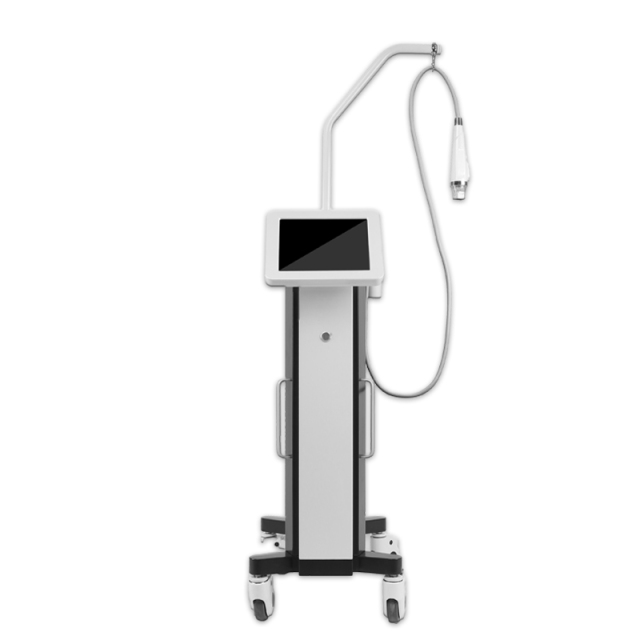 Vertical Fractional RF Microneedle Beauty Machine For Stretch Marks And Wrinkle Removal