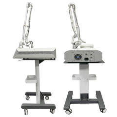 Professional Stretch Mark And Scar Removal Vaginal Tightening Fractional Laser Co2 Machine
