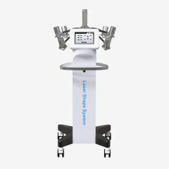 Popular 532nm Diode Laser 6D Lipolaser Fat Burning Lipo Laser Slimming Machine