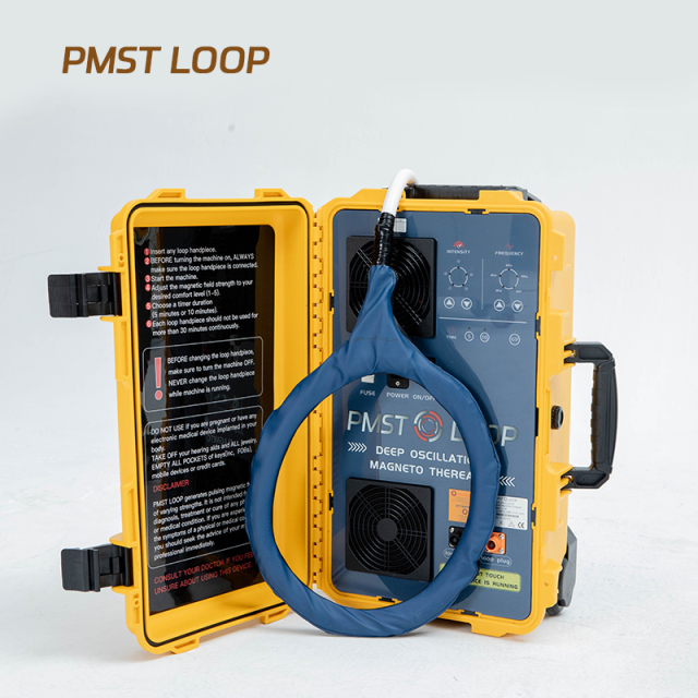 PMST LOOP
