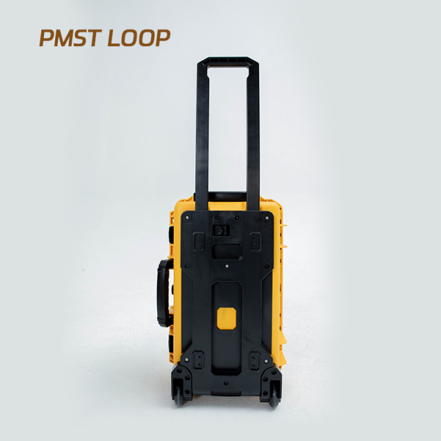 PMST LOOP