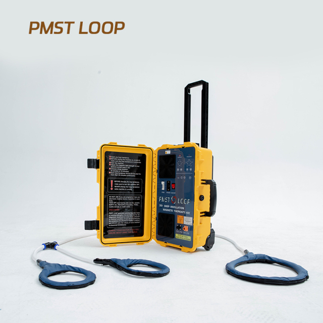 PMST LOOP