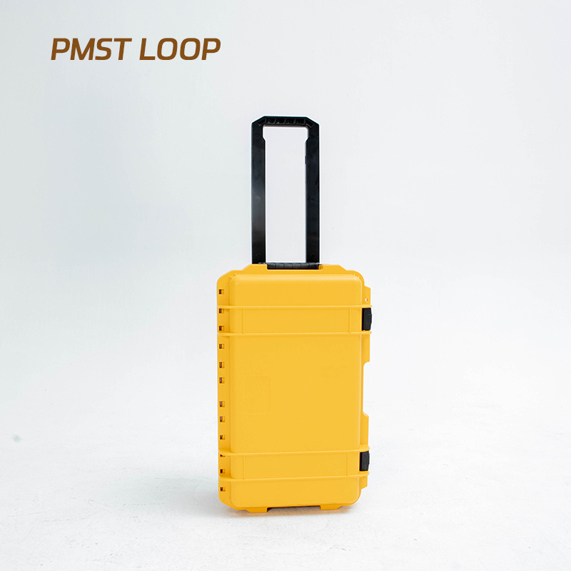 PMST LOOP