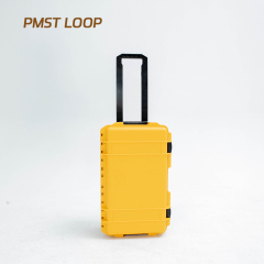 PMST LOOP