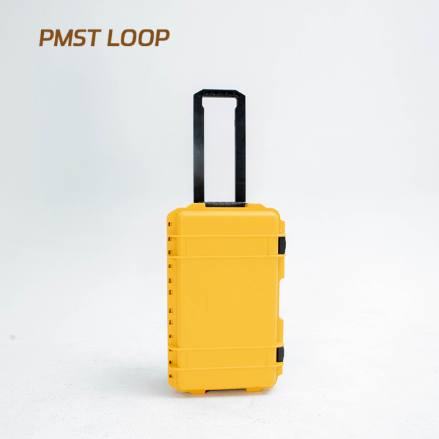 PMST LOOP