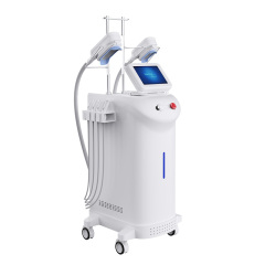 Multifunctional Cryolipolysis Slimming Machine