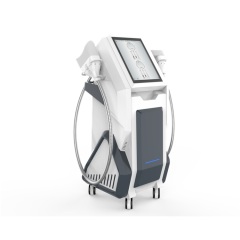 Vertical Double Handles Cooling Non-invasive Fat Frozen Freezing Machine