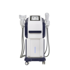 Vertical 4 Handles Cryo Therapy Slimming Machine