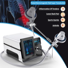 Laser Pulse Magnetic Therapy Device
