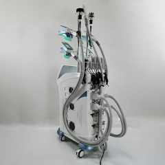 5 Handle Cryolipolysis Slimming Machine