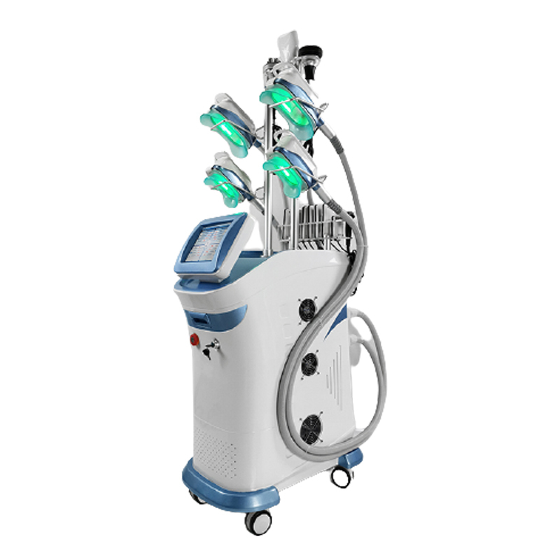 5 Handle Cryolipolysis Slimming Machine