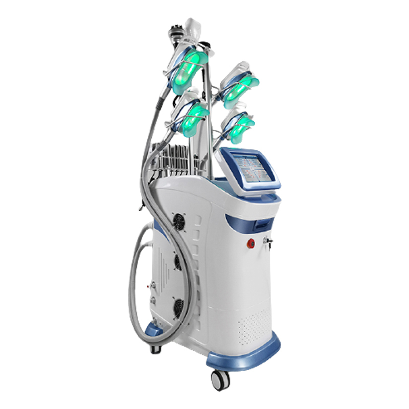 5 Handle Cryolipolysis Slimming Machine