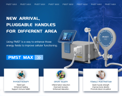PMST Max