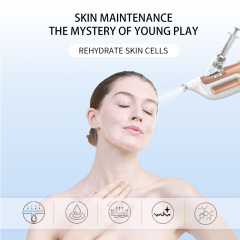 2024 New Arrive Mesotherapy Machine Deep water refill Whitening Beauty Face Machine
