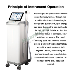 2025 New Arrival Vertical 600W High Power Painless Laser 808Nm Diode Laser Hair Removal Machine