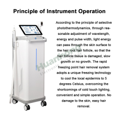 Best Selling 600W Laser Hair Removal 2 in 1 Laser Tattoo Removal Picosecond Machine