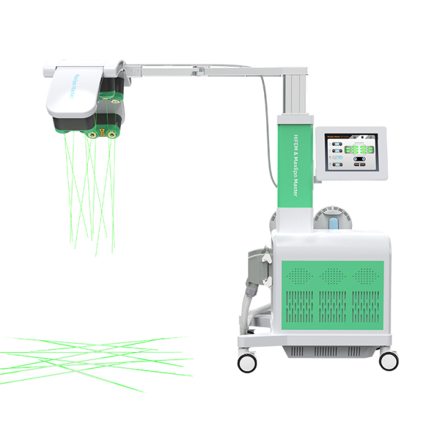 2 in 1 Body Slimming Machine EMS Sculpt Slimming Machine 532nm Diode 10D Laser Slimming Machine