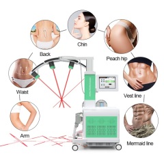 2 in 1 Body Slimming Machine EMS Sculpt Slimming Machine 532nm Diode 10D Laser Slimming Machine