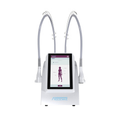 2025 New Arrival 2450Mhz Freeze Wave Fat Reduction Body Slimming Machine