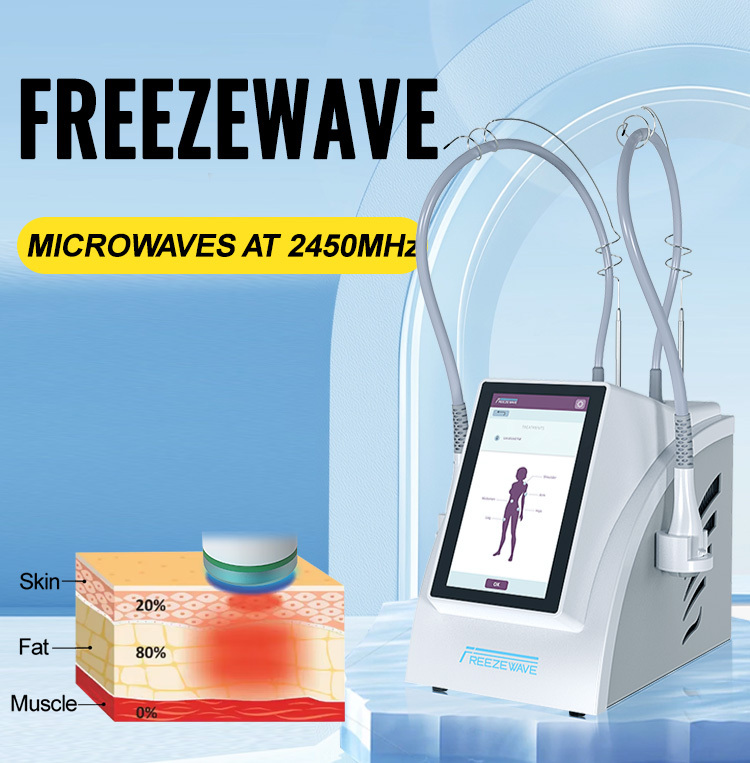 2025 New Arrival 2450Mhz Freeze Wave Fat Reduction Body Slimming Machine
