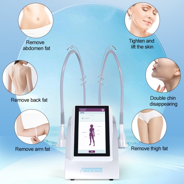 2025 New Arrival 2450Mhz Freeze Wave Fat Reduction Body Slimming Machine