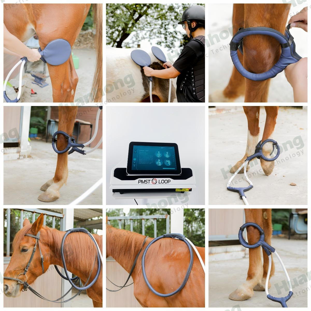 PEMF LOOP 2 in 1 Magnetotherapy Machine