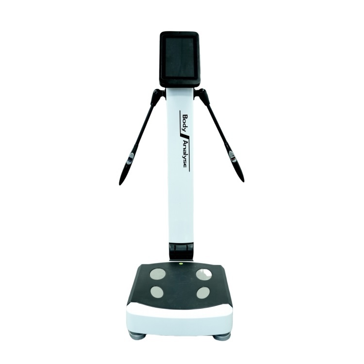 Professional Body Composition Analyzer Multi Frequency BIA Touch Screen and App Sync for Gym Clinic OEM