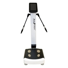 Professional Body Composition Analyzer Multi Frequency BIA Touch Screen and App Sync for Gym Clinic OEM