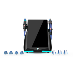 2 in 1 Ice Gold Rf Microneedling Machine