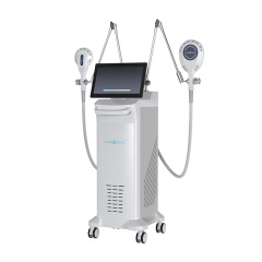 6T Dual Handle Pemf Pulse Magnetic Therapy
