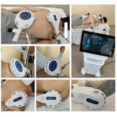 6T Dual Handle Pemf Pulse Magnetic Therapy