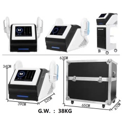 Portable 2Handle Ems Sculpting Machine