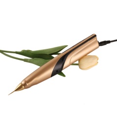 Portable Acne/Spot Removal plasma pen