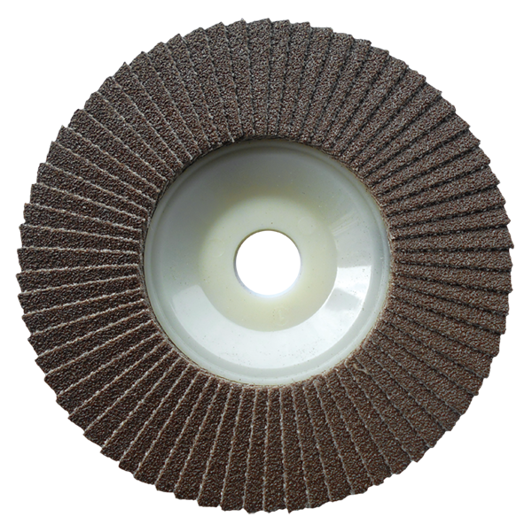 Backside of Premium Flap Disc--Ore no 