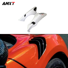 High Quality Fast Delivery Whole Sale Price Dry Carbon Fiber MSO Fenders Body Kits for Mclaren 540-570S 600LT