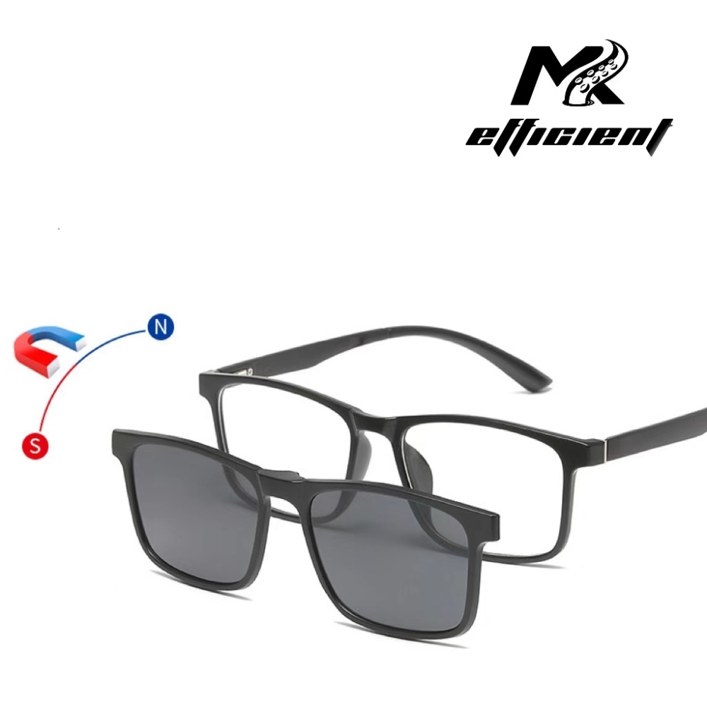Polarized magnetic glasses