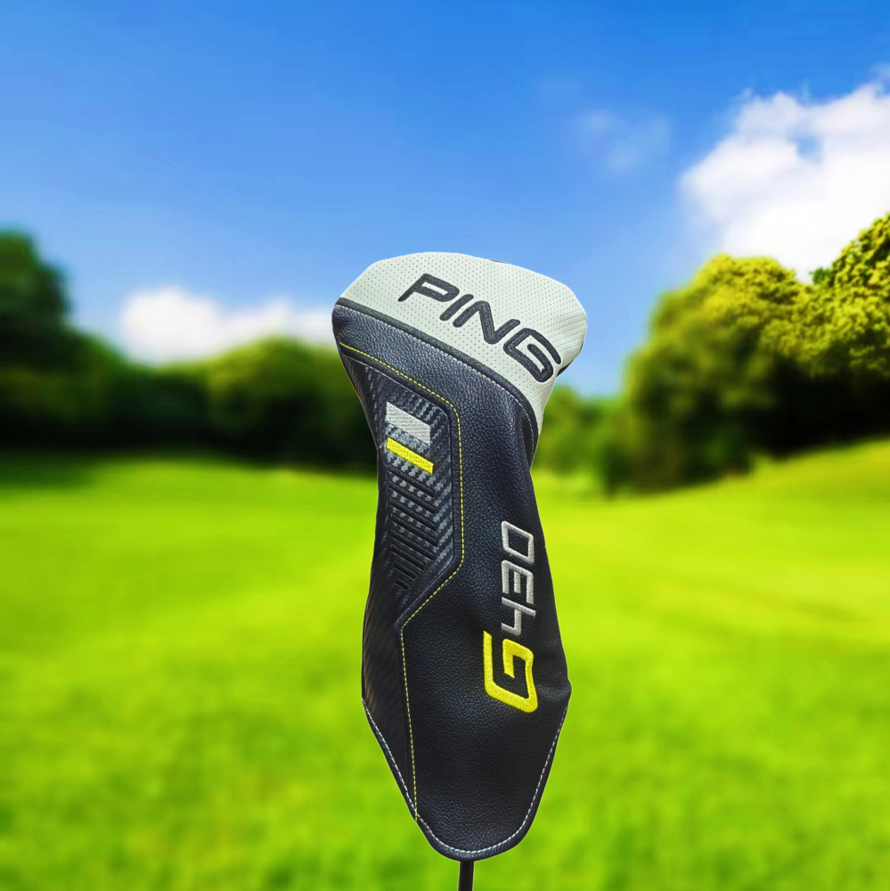 PING-01