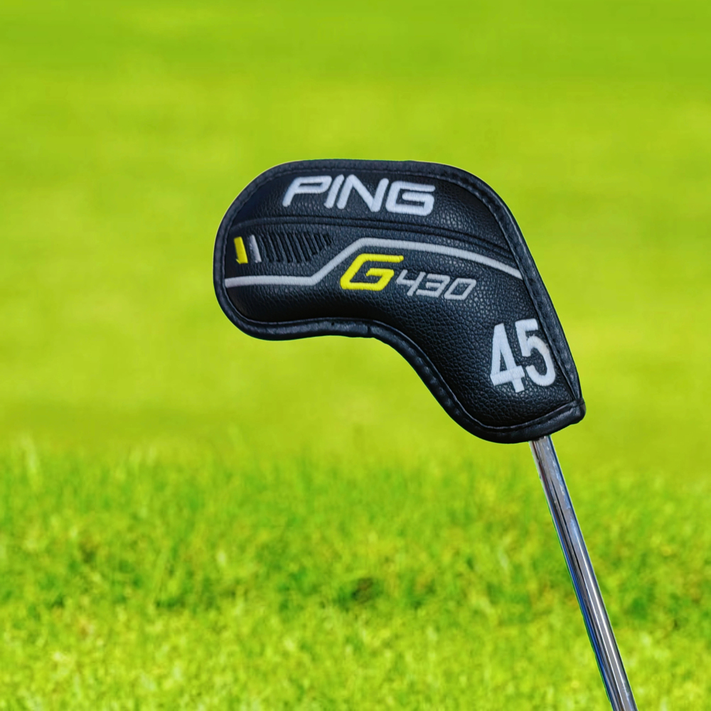 PING-01