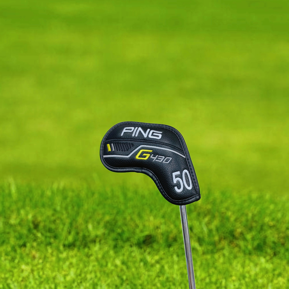 PING-01