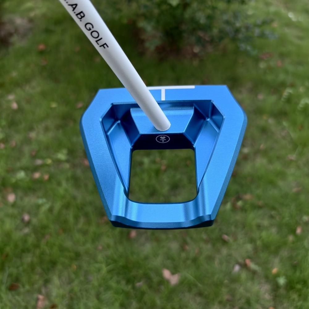 VZN.1i
