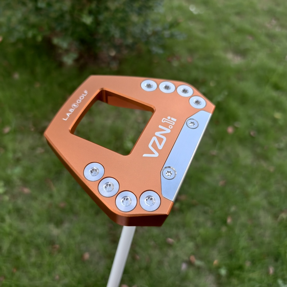 VZN.1i