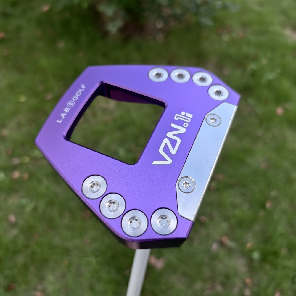 VZN.1i