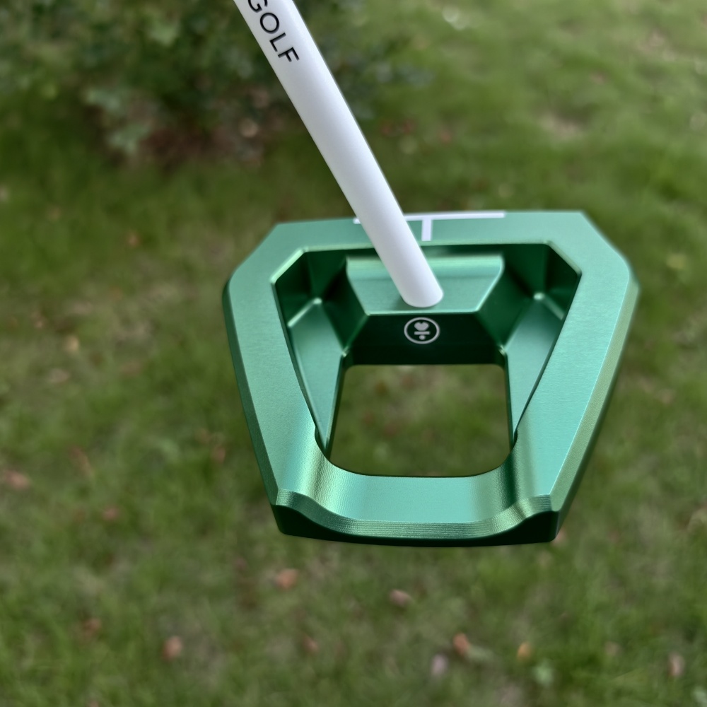 VZN.1i