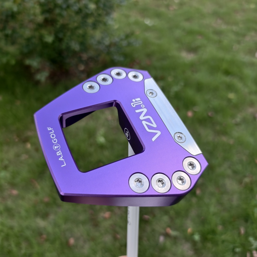 VZN.1i