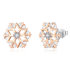 Winter-Inspired Jewelry 925 Sterling Silver Snowflake Stud Earrings