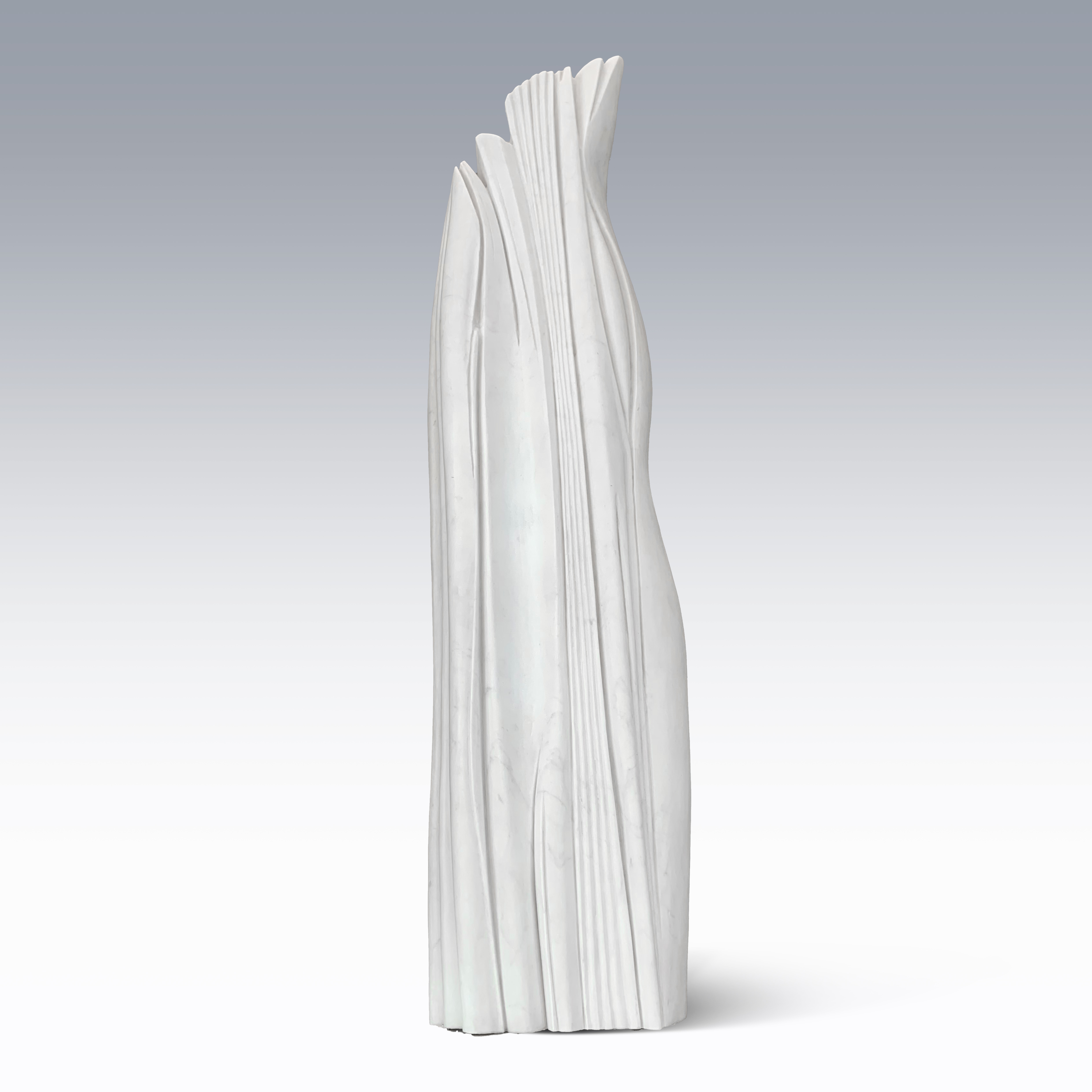 Sculptures | Without Contention