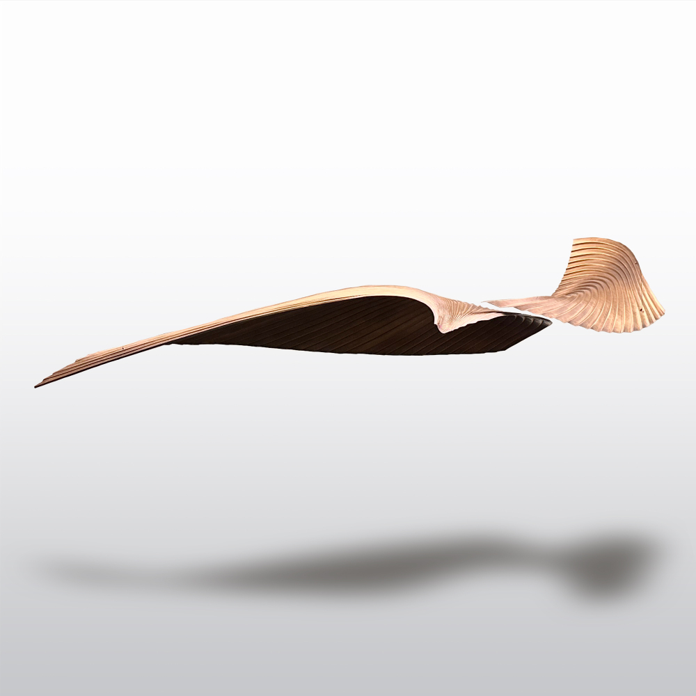 Sculptures | Feathered Drift